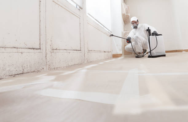 24/7 Emergency Black Mold Removal experts in Bedminster, NJ