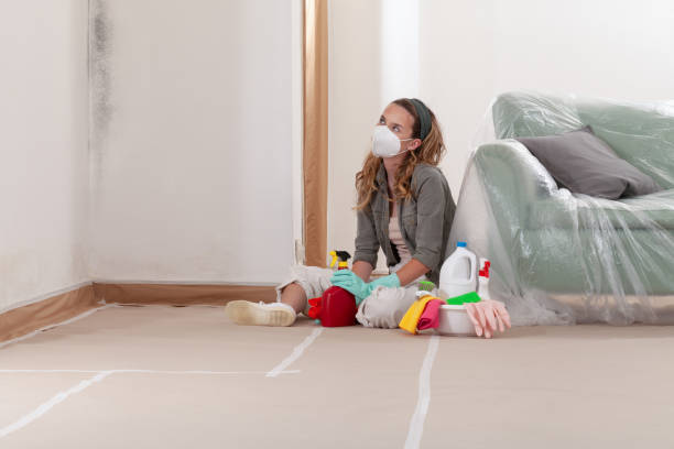 Reliable Black Mold Removal contractor in Bedminster, NJ by WQB Mold Removal